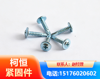 双鸭山华司钻尾丝
